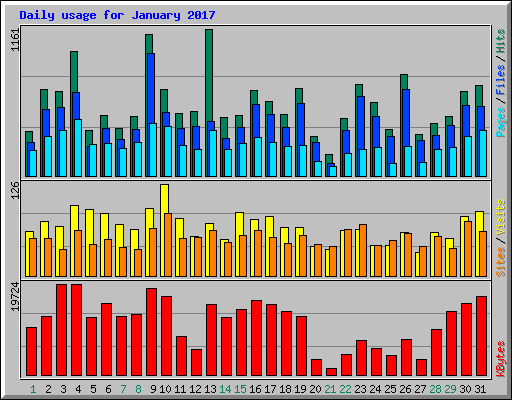 Daily usage for January 2017