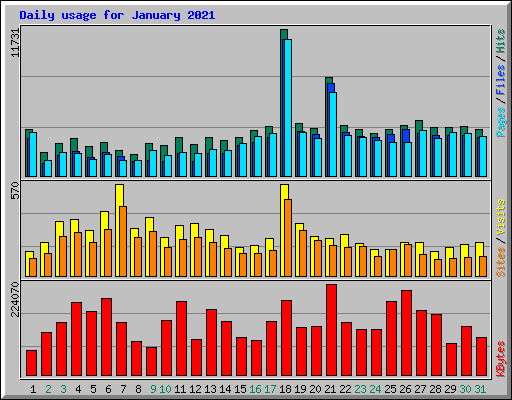 Daily usage for January 2021