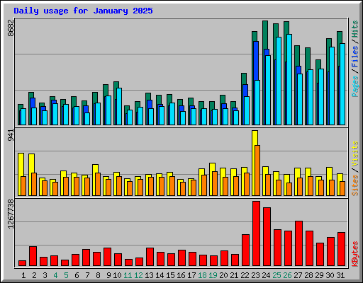 Daily usage for January 2025