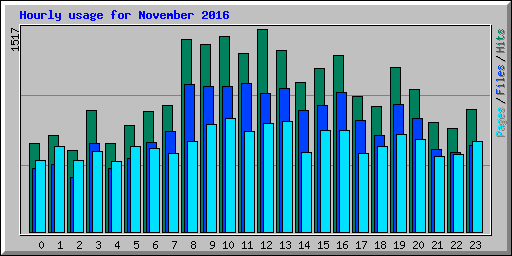 Hourly usage for November 2016