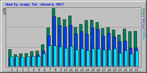 Hourly usage for January 2017