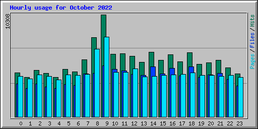 Hourly usage for October 2022