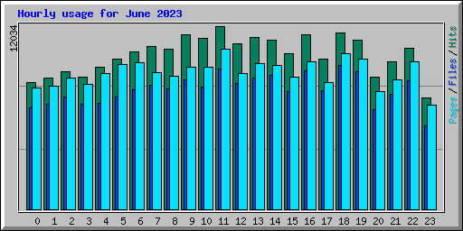 Hourly usage for June 2023