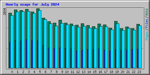 Hourly usage for July 2024