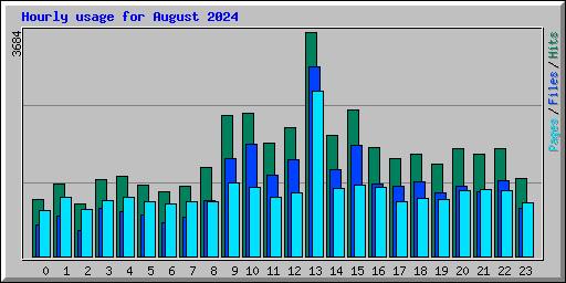 Hourly usage for August 2024