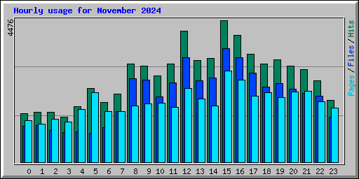 Hourly usage for November 2024