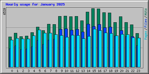 Hourly usage for January 2025