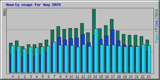 Hourly usage for May 2025